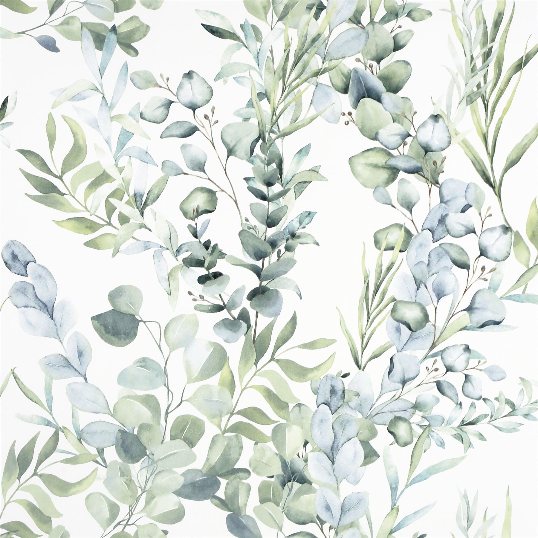 Tranquil Green