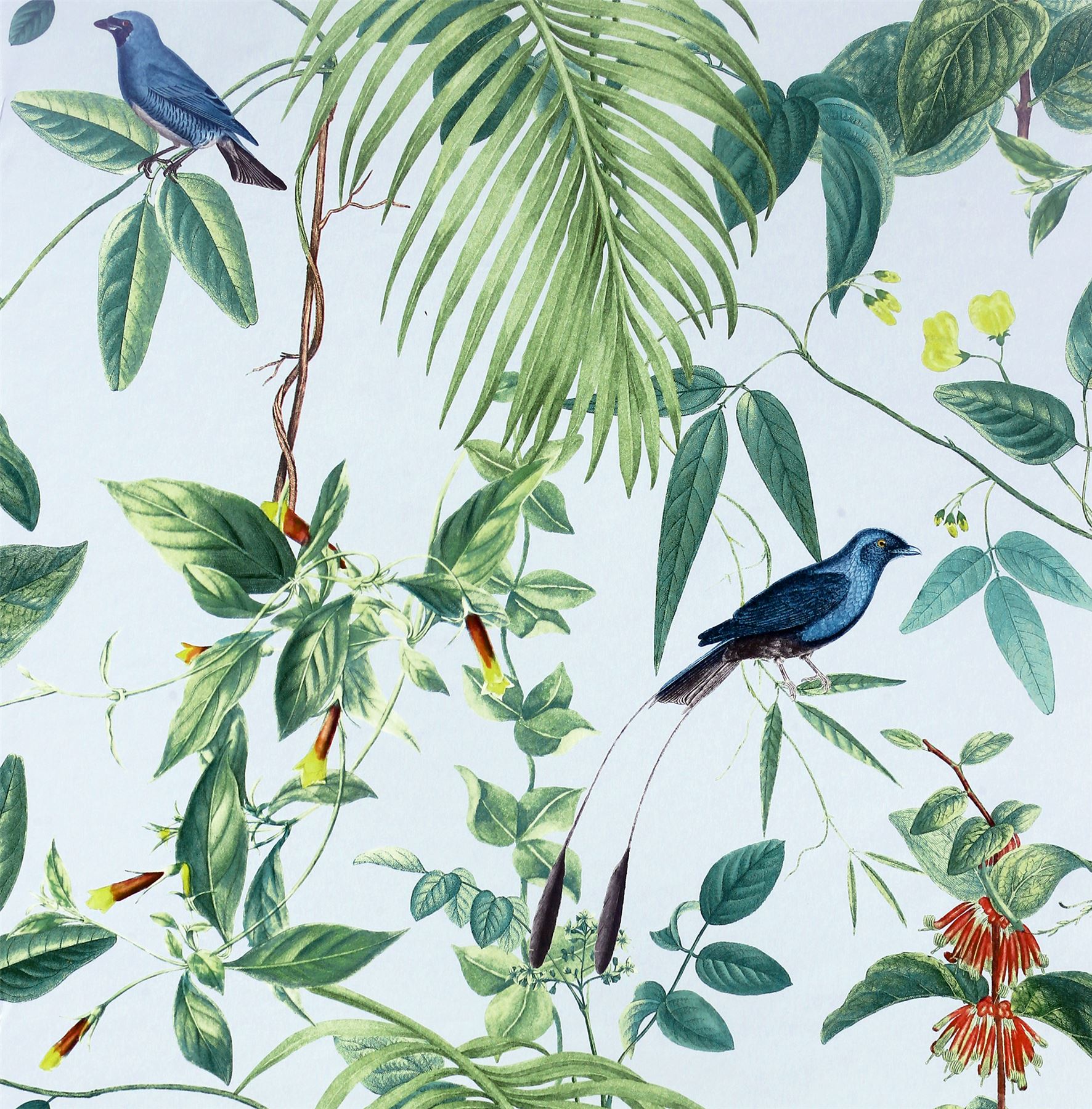 Exotic Garden