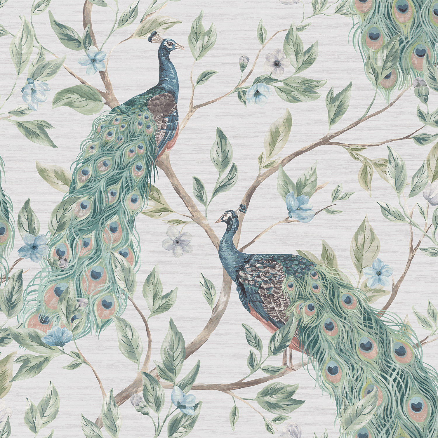 Keeka Bird Blue Wallpaper