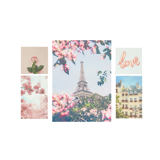 Arthouse Paris in Bloom 5 in 1 Canvas Set