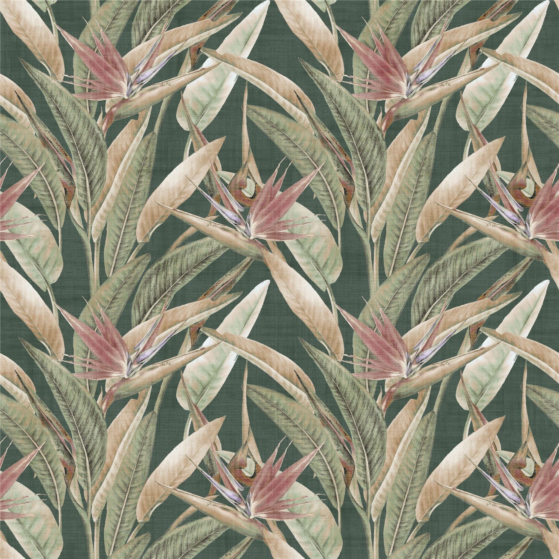 Soft Jungle Vines Deep Green Wallpaper