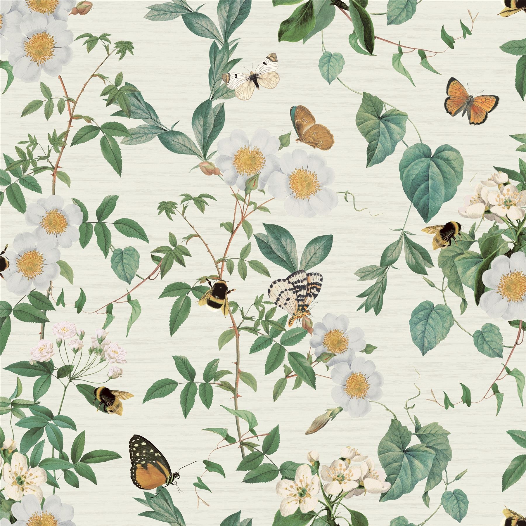 Bumblebee Trail Cream