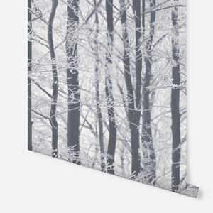 Frosted Wood Silver