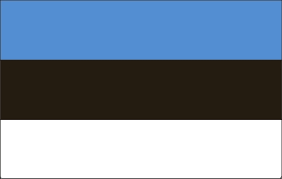 Paste the wall - Estonian