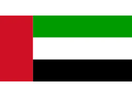 Paste the Wall - Arab Emirates