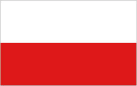 Paste the wall - Polish