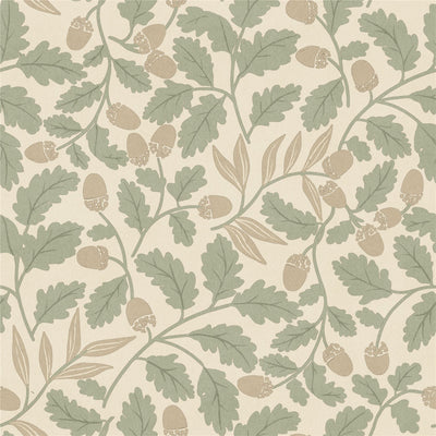 Acorn Trail Sage Wallpaper