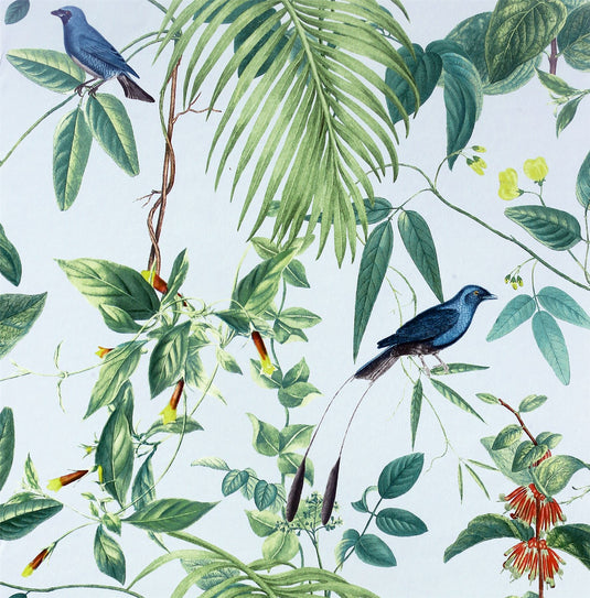 Exotic Garden sw12