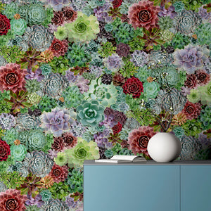 Succulent Living Wall Multi Wallpaper