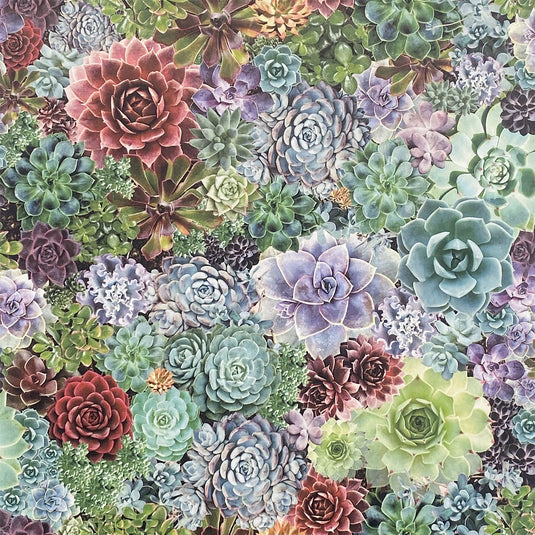 succulent screensaver Succulent Living Wall Multi Wallpaper