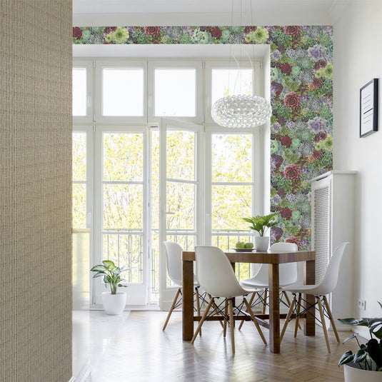 Succulent Living Wall Multi sw12