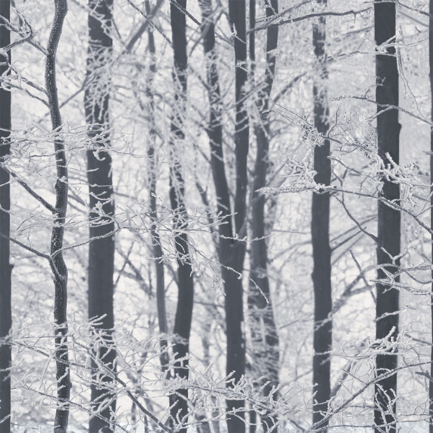 Frosted Wood Silver Wallpaper sw12