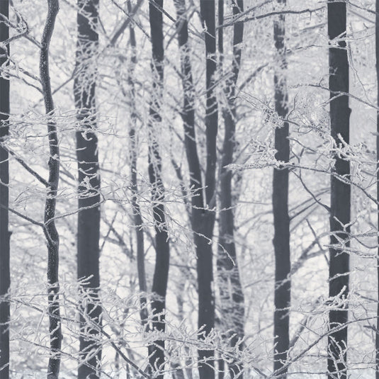 Frosted Wood Silver Wallpaper sw12