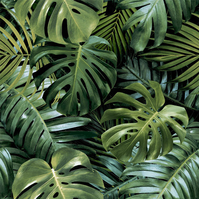 Living Wall Green Wallpaper