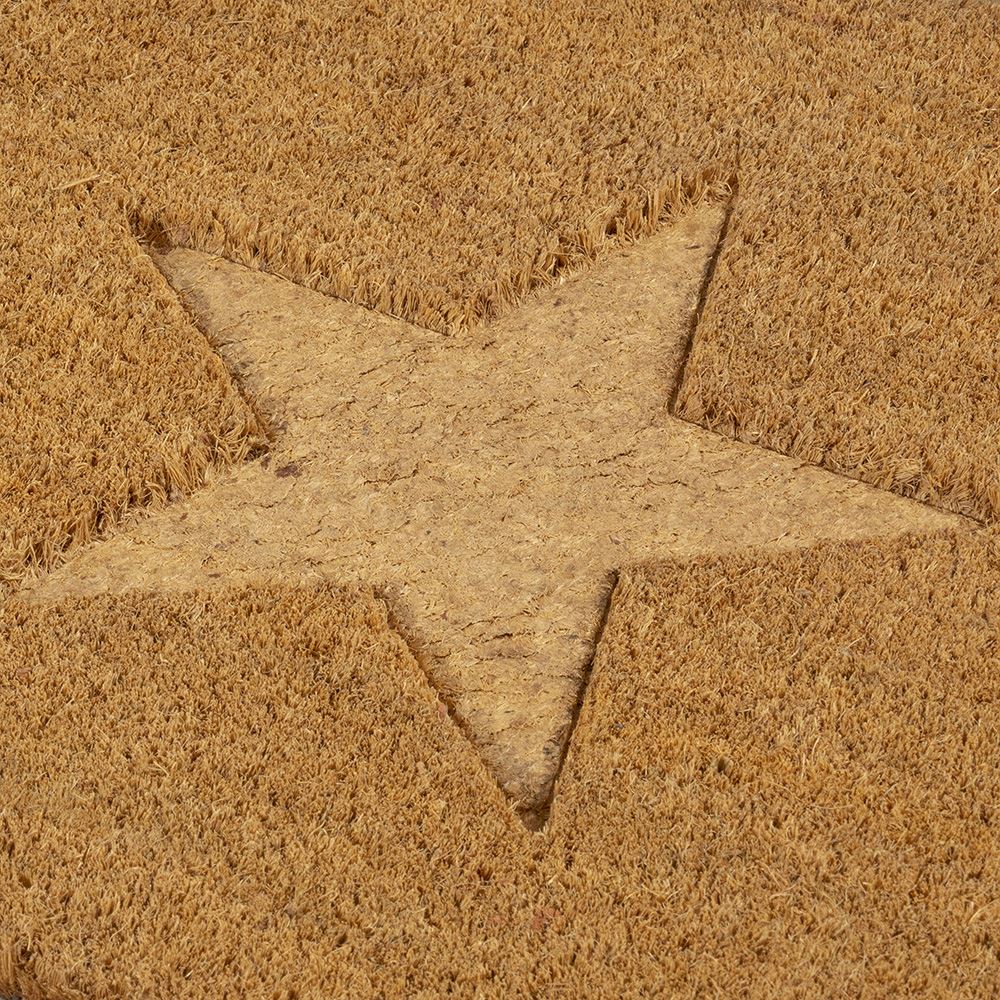 Astley Star Embossed PVC Backed Coir 60x40cm Doormat