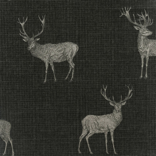 Charcoal