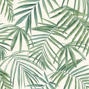 Palm Leaves Green Wallpaper