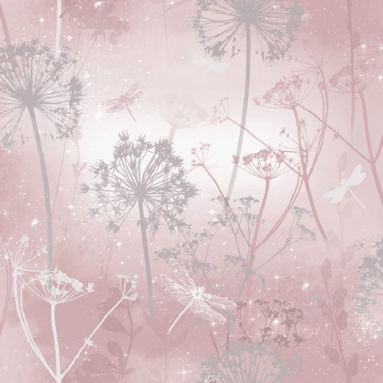 Damselfly Blush Wallpaper