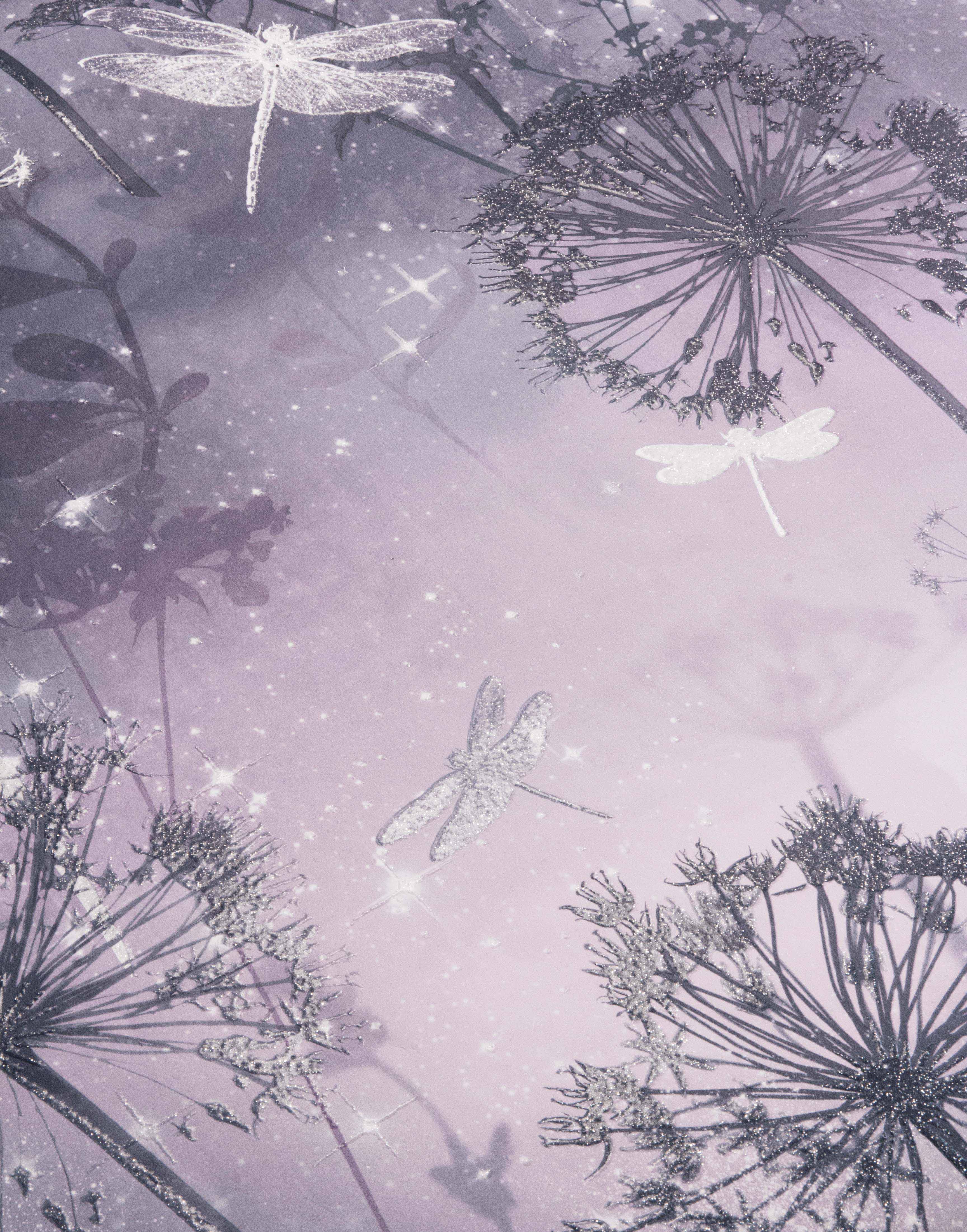 Damselfly Purple Wallpaper