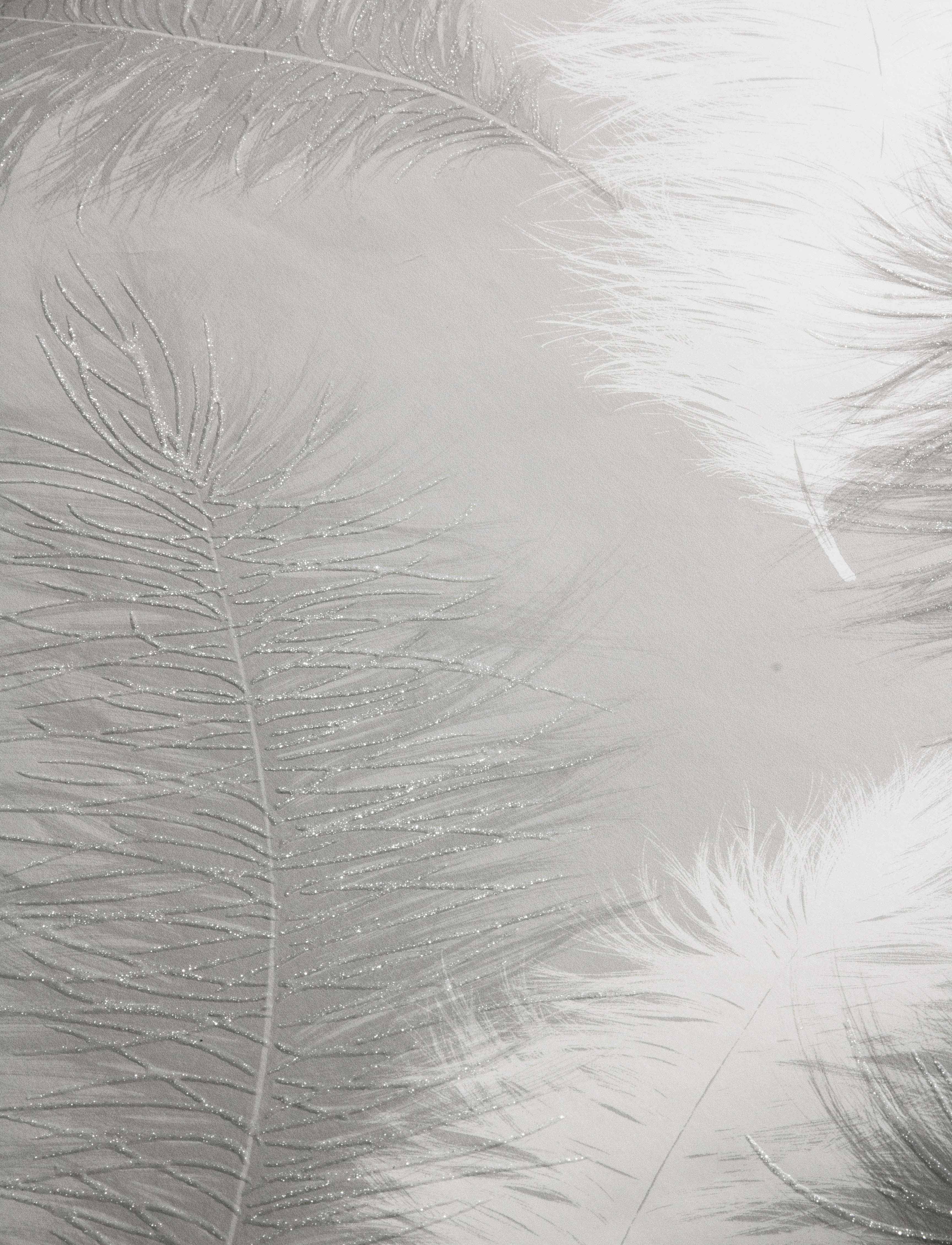 Sussurro Grey Wallpaper