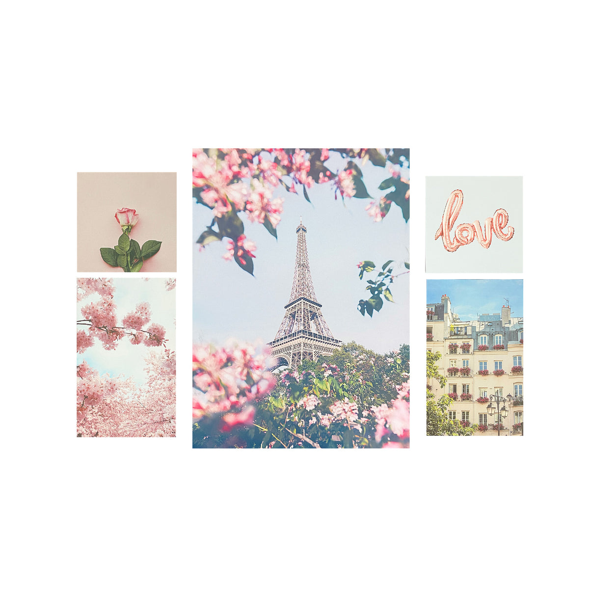 Arthouse Paris in Bloom 5 in 1 Canvas Set