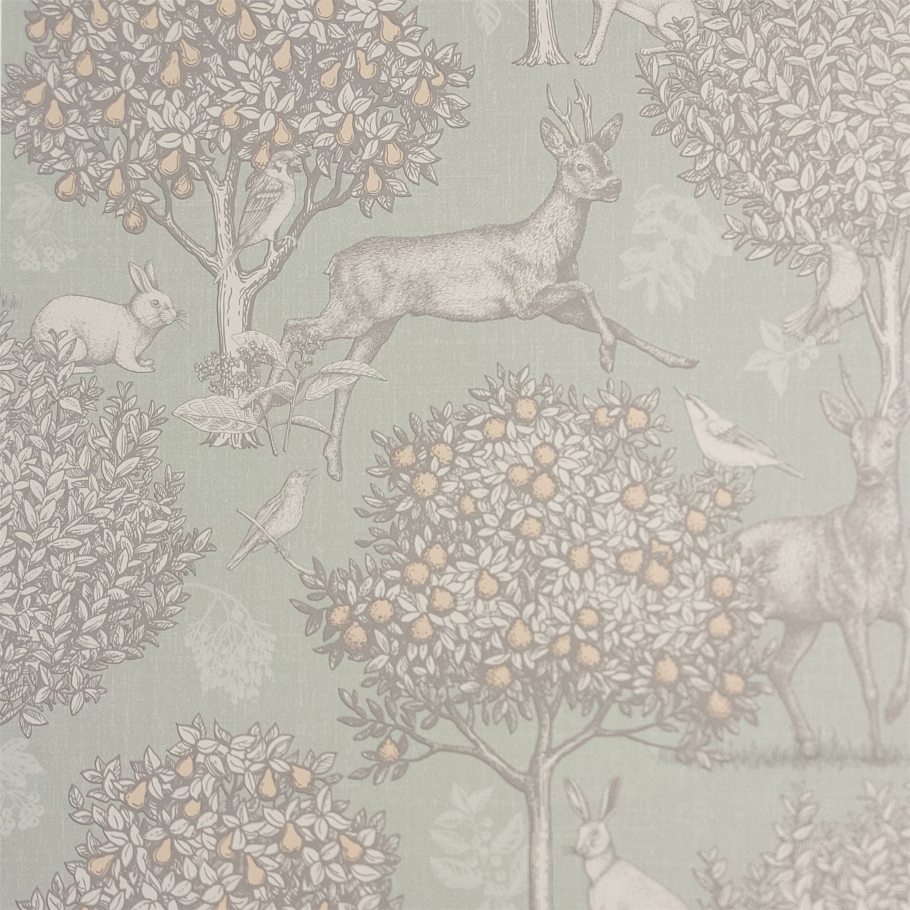Woodland Scene Sage Green Wallpaper