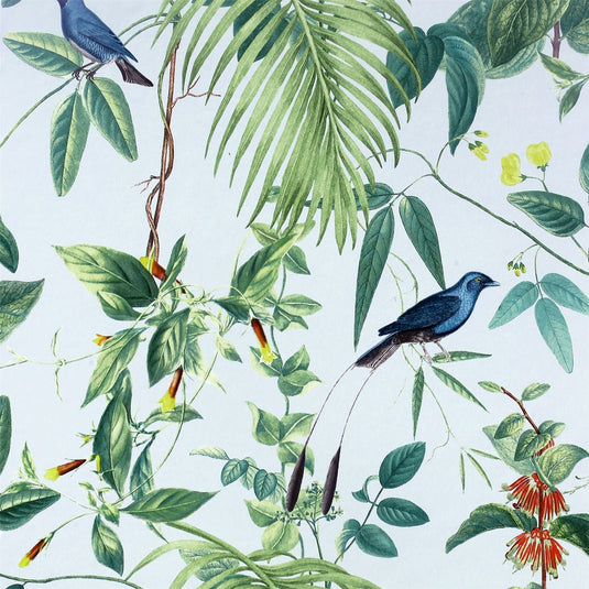 Exotic Garden sw12