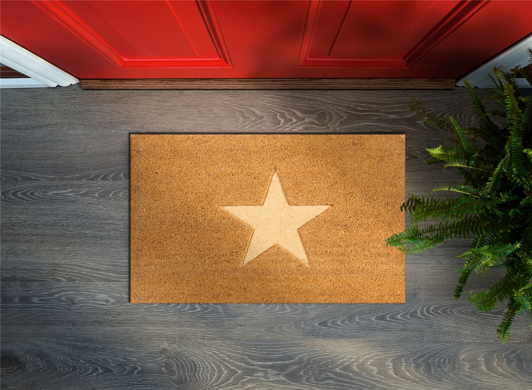 Astley Star Embossed PVC Backed Coir 60x40cm Doormat