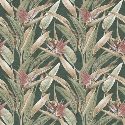 Soft Jungle Vines Deep Green Wallpaper