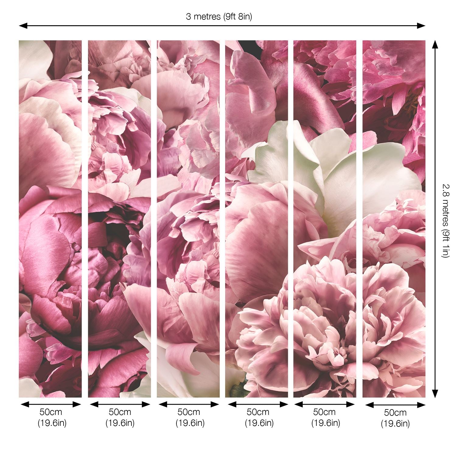 Peonies Mural 3 x 2.8m sw12