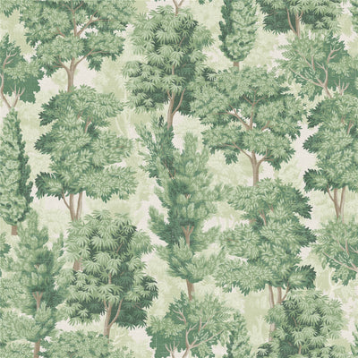 Organic Forest Green Wallpaper