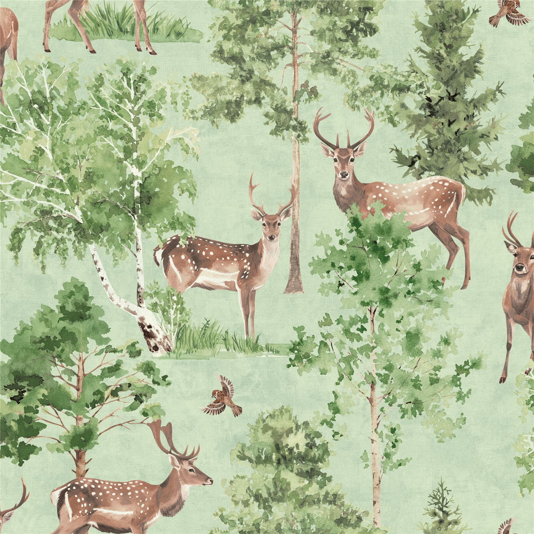 Deer Forest Natural Wallpaper